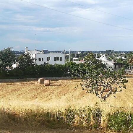 B&B Valle D'Itria Martina Franca Dış mekan fotoğraf