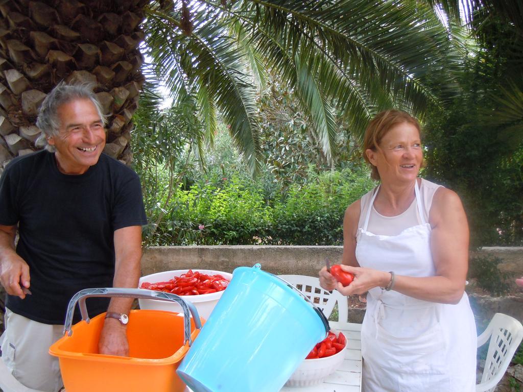 B&B Valle D'Itria Martina Franca Dış mekan fotoğraf